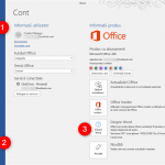 Secțiunea Despre din Office 365 Word