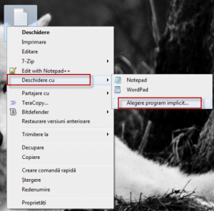 programe implicite, default, asociere, tip fisier