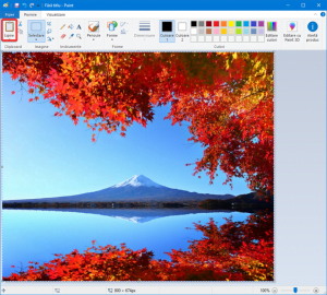 Lipește o imagine în Paint