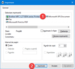 Dialogul de tipărire Paint