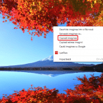 Copiază o imagine dintr-un browser web