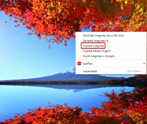 Copiază o imagine dintr-un browser web