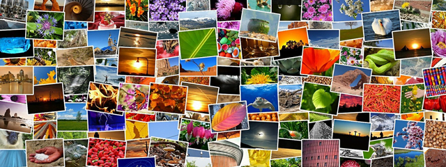 Cum transferi fotografii de pe iPhone pe Android (4 metode)