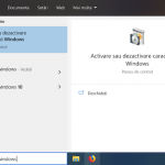Tastează caracteristici windows în câmpul de căutare al barei de activități