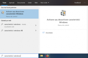 Tastează caracteristici windows în câmpul de căutare al barei de activități