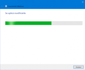 Așteaptă în timp ce Windows aplică modificările