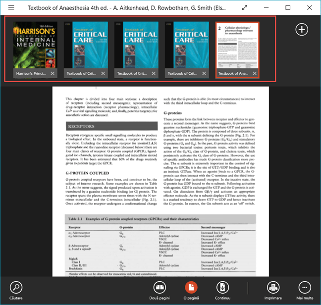 Reader, Windows, aplicatie