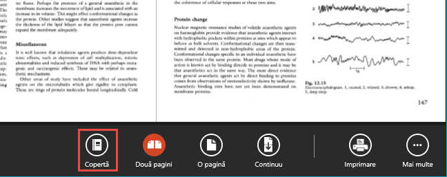 Reader, Windows, aplicatie