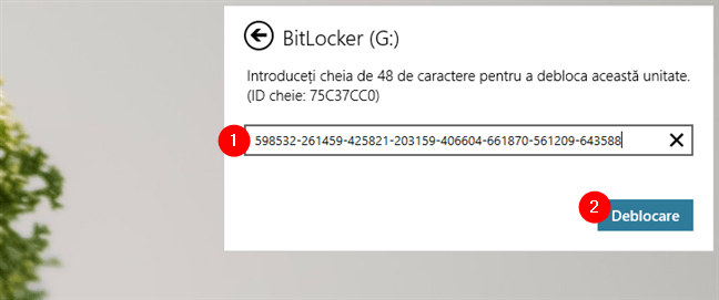 Utilizarea cheii de recuperare pentru a debloca o unitate USB cu BitLocker