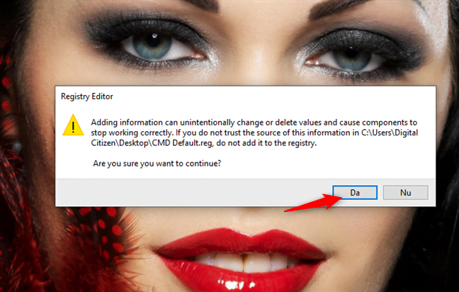 Registry Editor te întreabă dacă vrei să adaugi noua informație în Registru