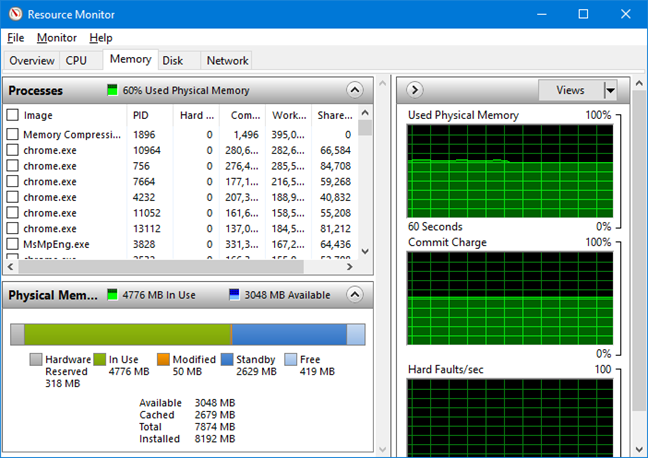 Fila Memory (memorie) în Resource Monitor