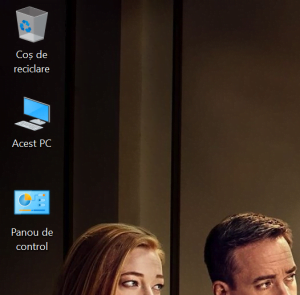 Acum sunt afișate pictogramele pe desktop