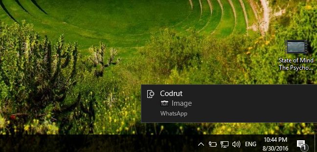 notificari, sincronizare, aplicatii, Windows 10, Windows 10 Mobile