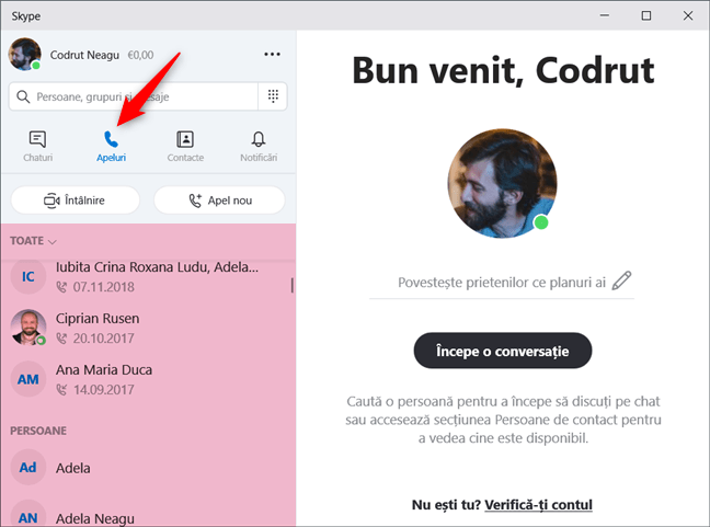 Fila Apeluri din Skype
