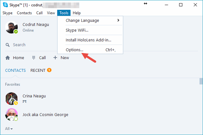 Skype, webcam