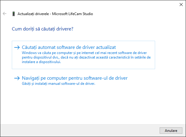 Skype, webcam