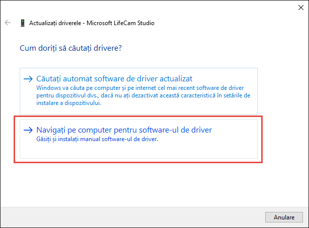 Skype, webcam