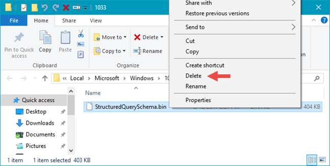Skype, webcam