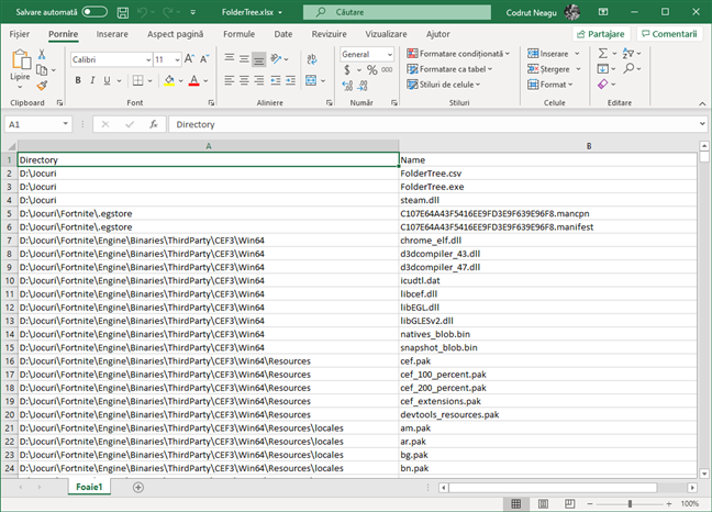 Structura arborescentă a unui director, exportată în Excel