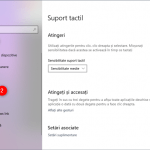 Secțiunea Suport tactil din aplicația Setări din Windows 10