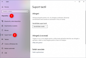 Secțiunea Suport tactil din aplicația Setări din Windows 10
