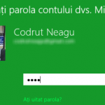 Cum faci ca Windows 8 să afișeze temporar parola pe care tocmai ai tastat-o?