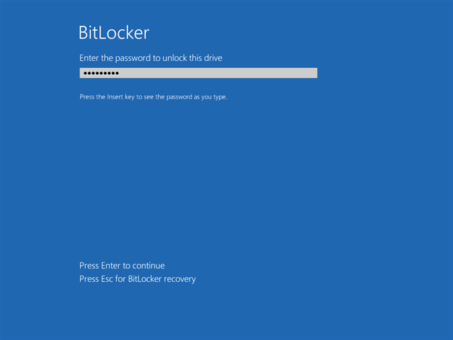 Pe un PC cu Windows 10 fără un cip TPM, BitLocker îți cere să introduci parola