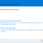 Expertul de configurare oferă două opțiuni diferite