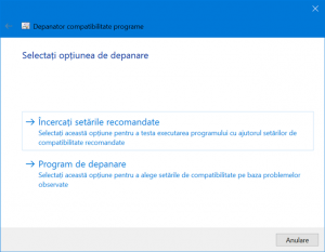 Expertul de configurare oferă două opțiuni diferite