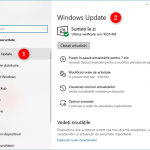 Pagina Windows Update din Setările Windows 10