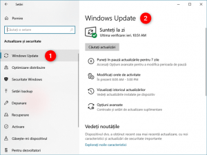 Pagina Windows Update din Setările Windows 10