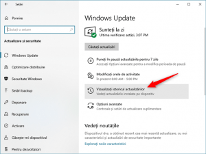 Vizualizați istoricul actualizărilor îți arată actualizările deja instalate