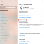 Dă clic pe Opțiuni avansate în Windows Update