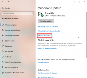 Dă clic pe Opțiuni avansate în Windows Update