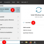 Căutarea Windows Update în Windows 10