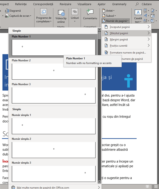 Microsoft Word - alege poziția numărului de pagină