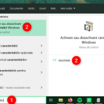 Deschiderea Caracteristicilor Windows în Windows 10