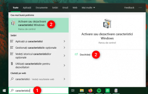 Deschiderea Caracteristicilor Windows în Windows 10