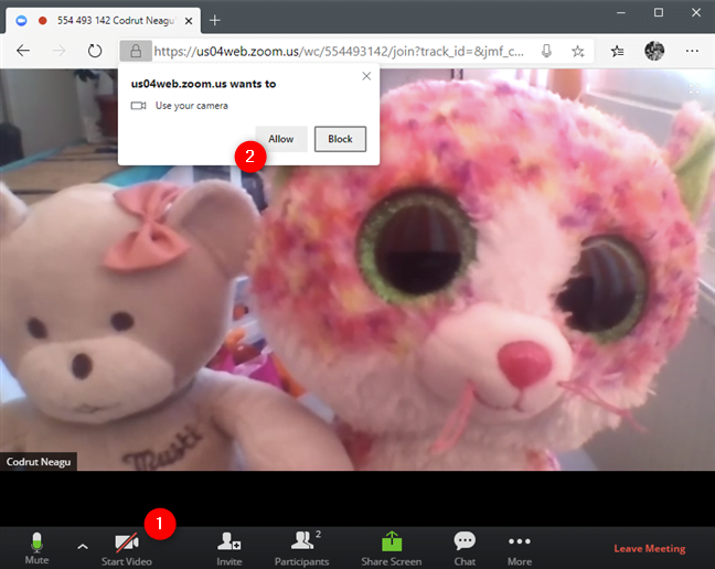 Se permite browserului să utilizeze camera web