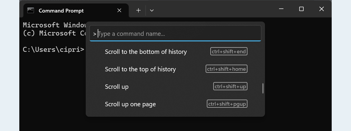 44 de combinaţii de taste pentru Linia de comandă (Windows 10 & Windows 11)