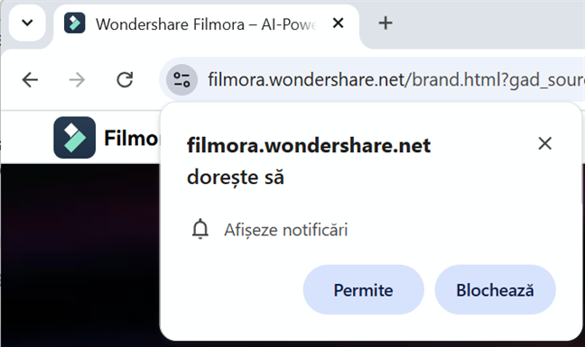 Alege Ã®ntotdeauna BlocheazÄƒ