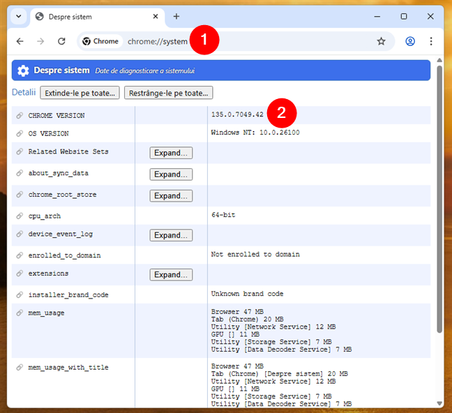 Cum verifici versiunea de Chrome pe un calculator