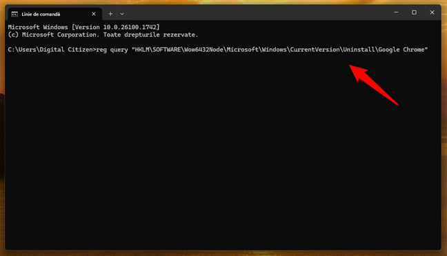 Cum verifici versiunea de Chrome în CMD
