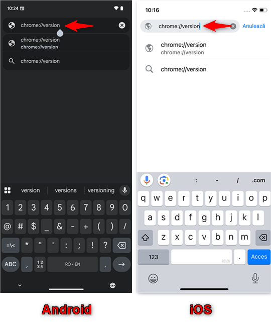 TasteazÄ aceastÄ adresÄ Ã®n Chrome pe Android sau pe iOS