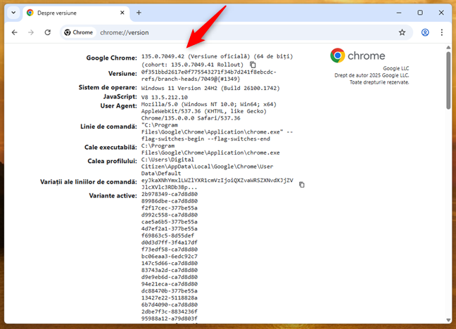 VerificÄ versiunea de Chrome pe un calculator