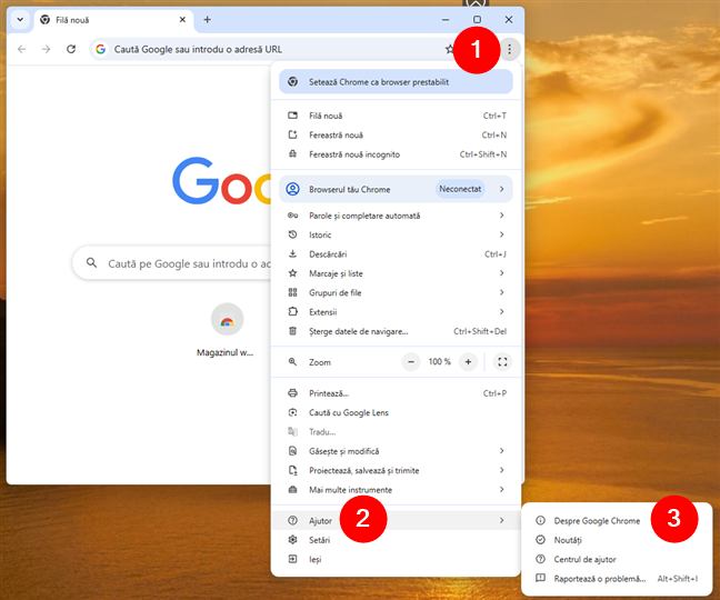 Deschide meniul Chrome Èi acceseazÄ Ajutor > Despre Google Chrome