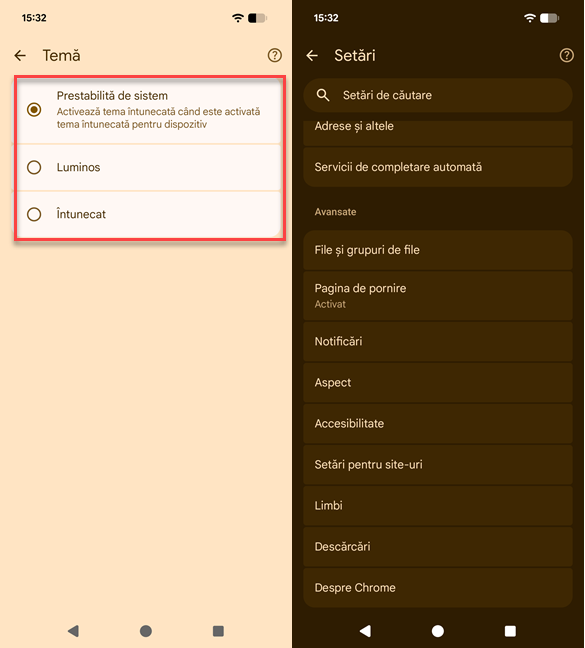 Alege tema pentru Google Chrome