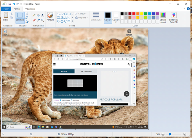 Screenshot al întregului ecran, lipit în Paint în Windows 10