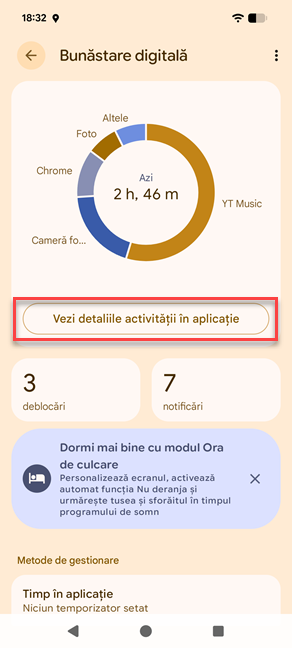 Vezi detaliile activit&Auml;&Egrave;ii &Atilde;&reg;n aplica&Egrave;ie