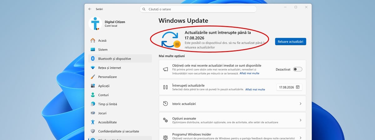 Cum amâni actualizările de Windows 11